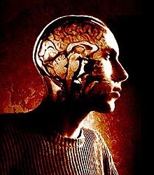 Emotion mind