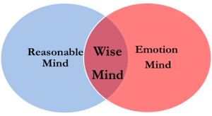 Venn diagram of reasonable, wise and emotion mind